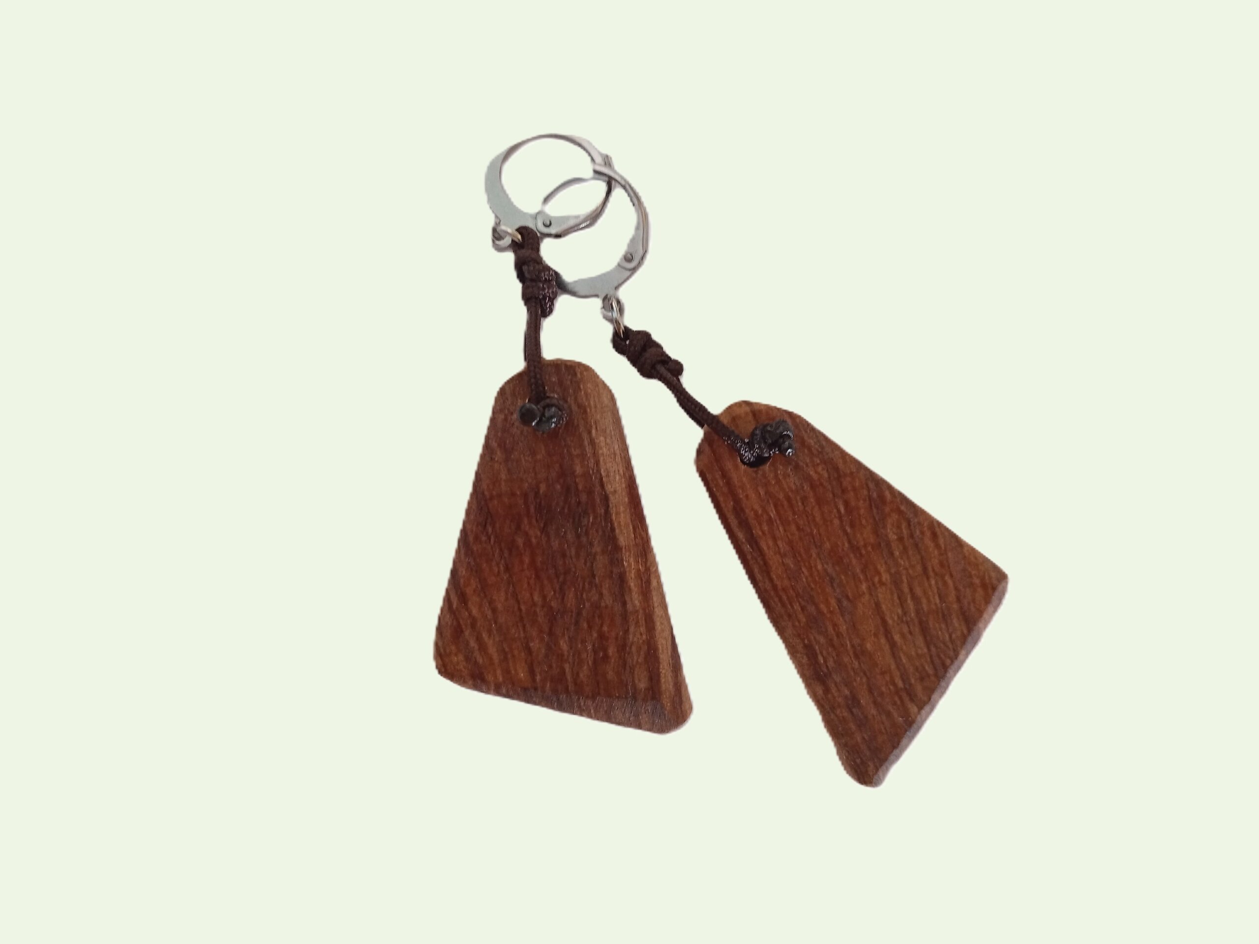 PENDIENTES ALARA - 3